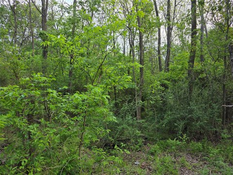 Greenville Land for Residential Development