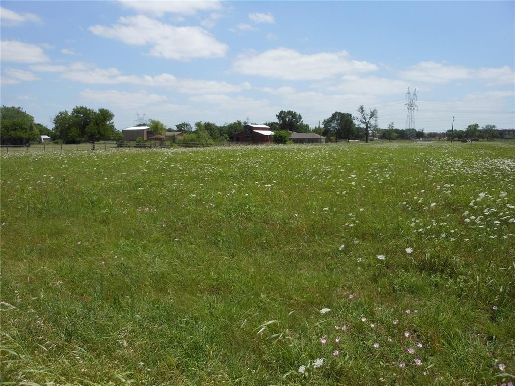 Picture 8