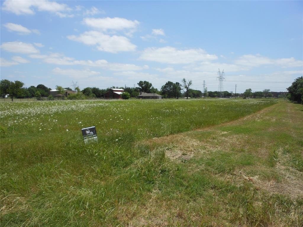 Picture 9
