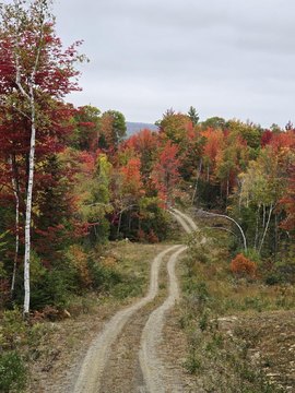 Land with Mountain Views