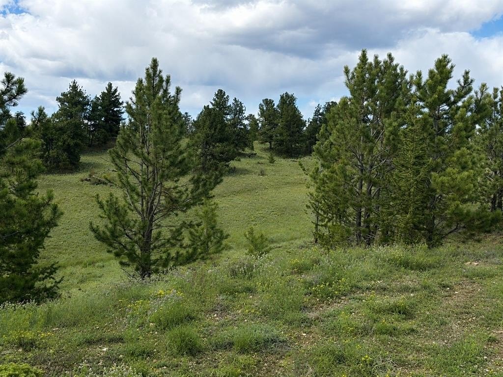 Picture 4