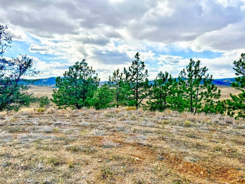 Picture 20