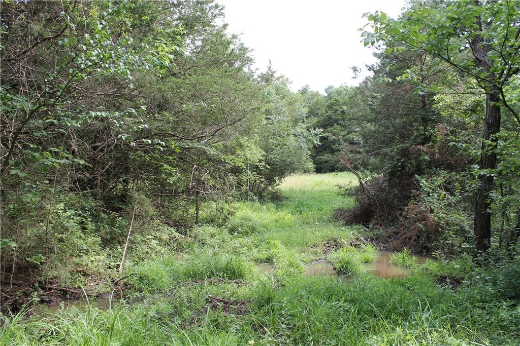 Picture 18
