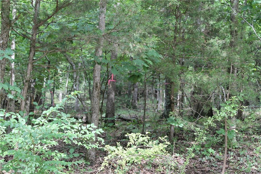 Picture 21