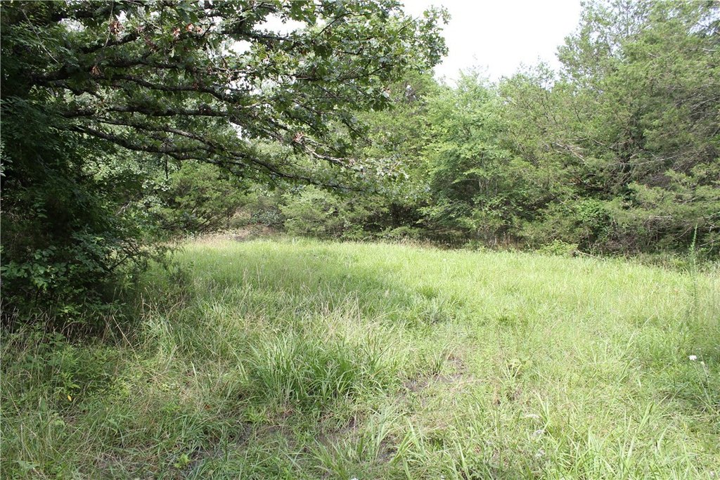 Picture 17