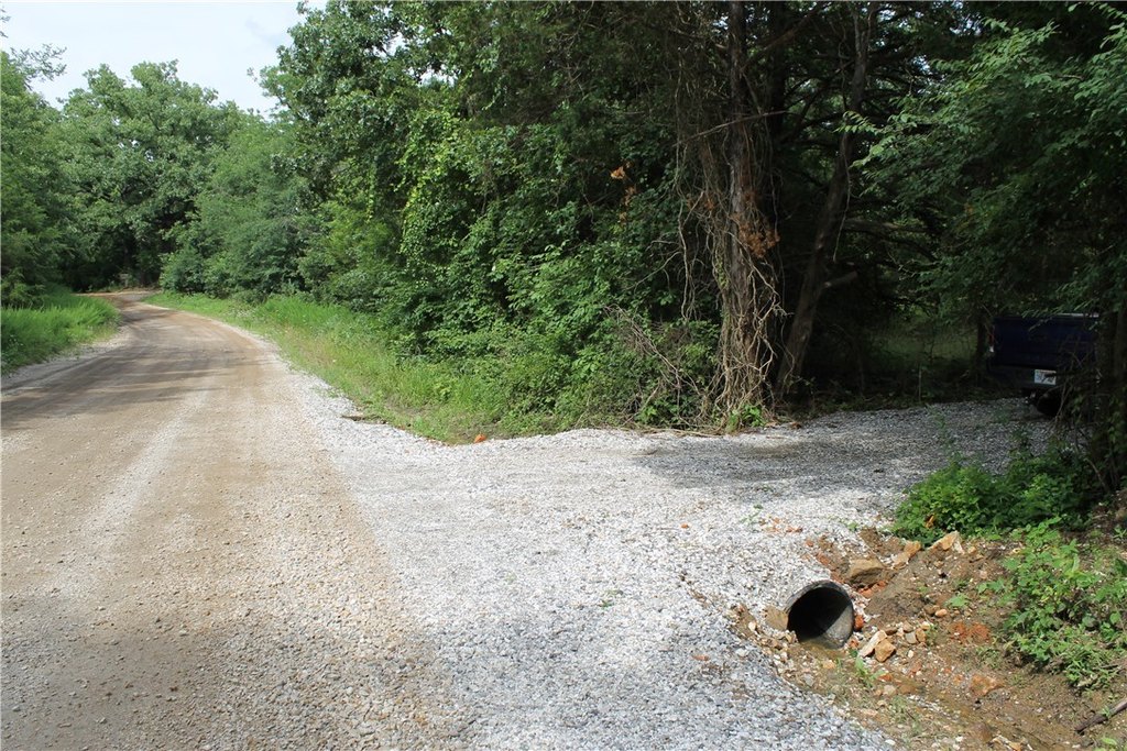 Picture 15