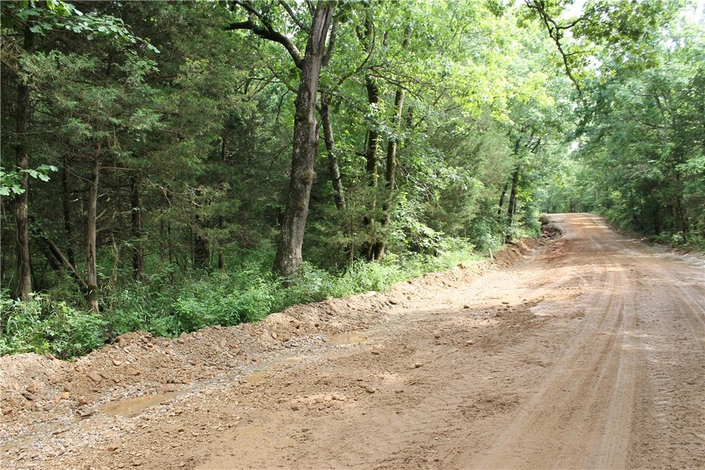 Picture 14