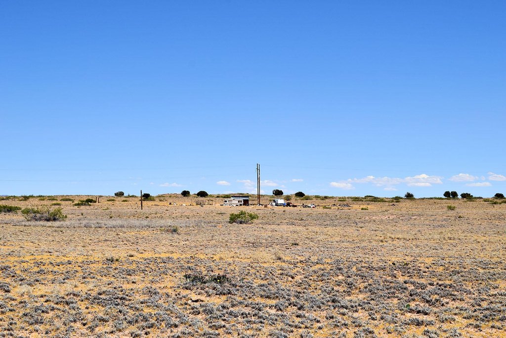 Picture 24