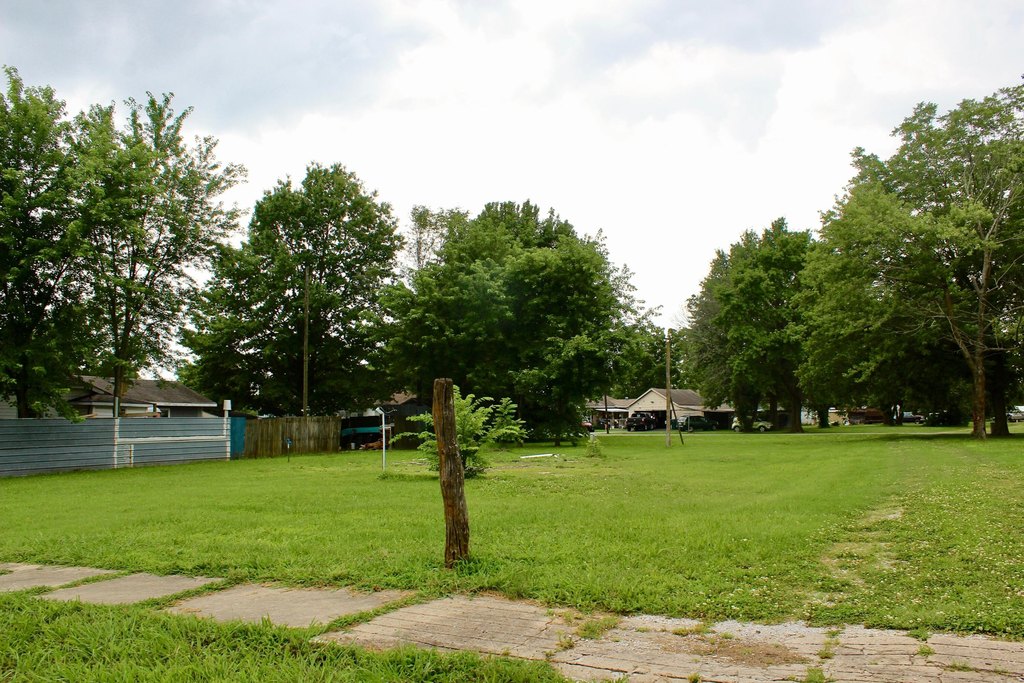 Picture 6