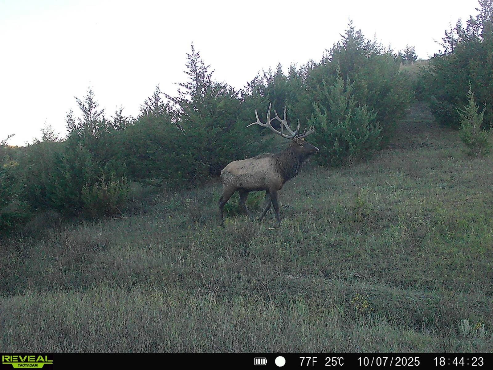 320 Acres of South Dakota Land