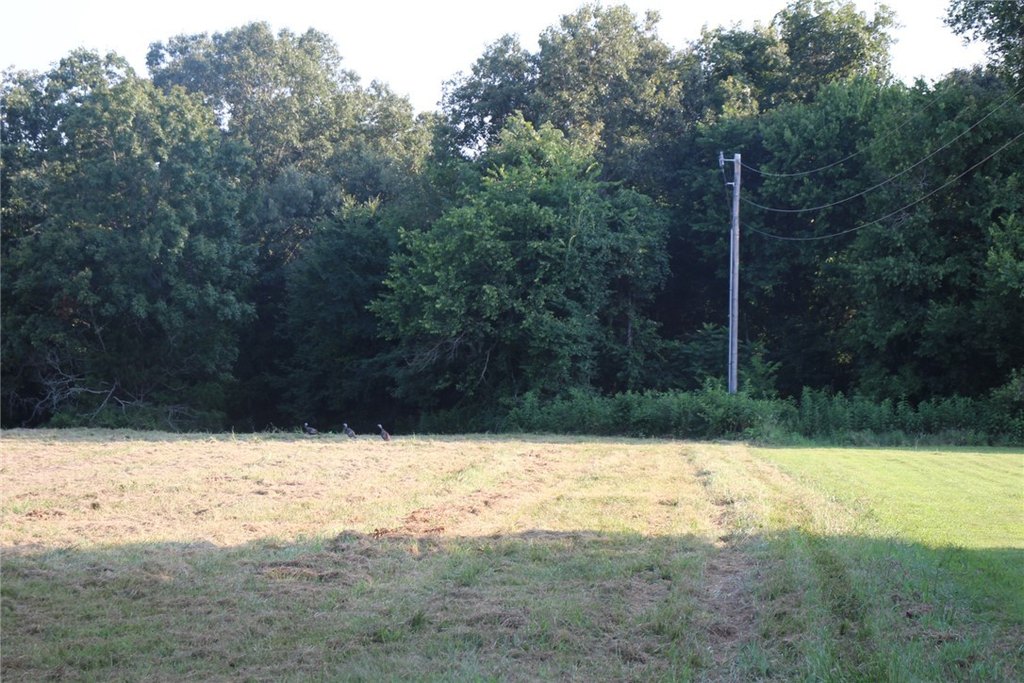 Picture 25