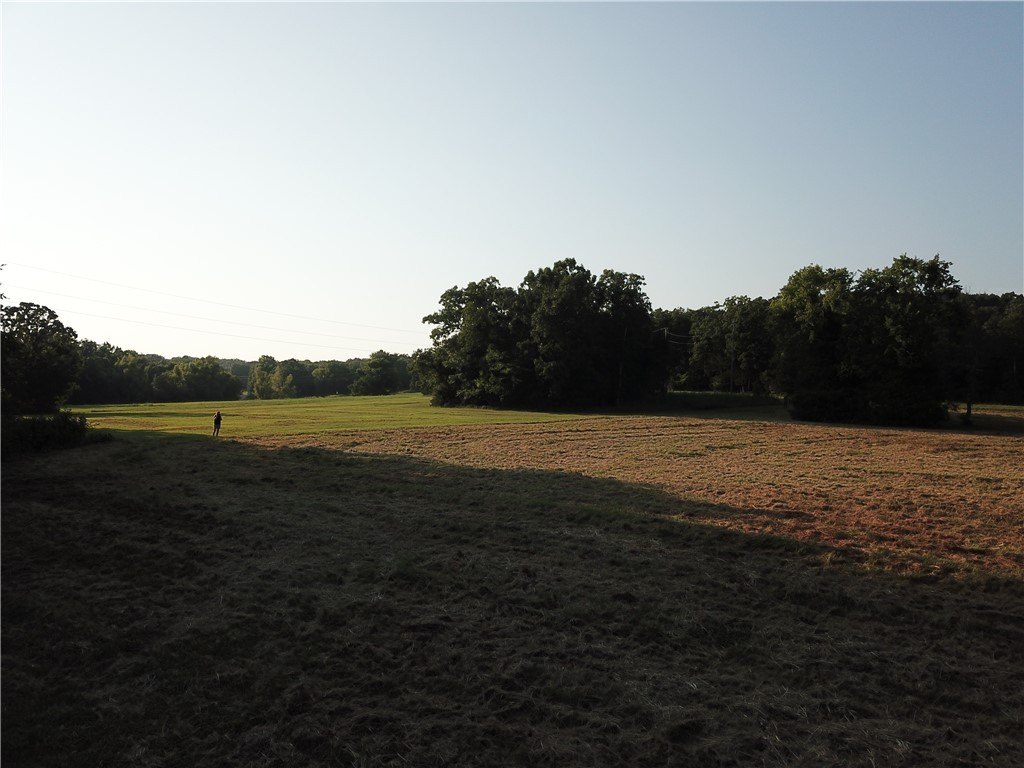 Picture 13