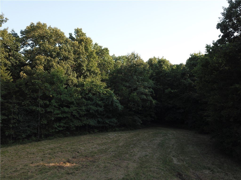 Picture 11