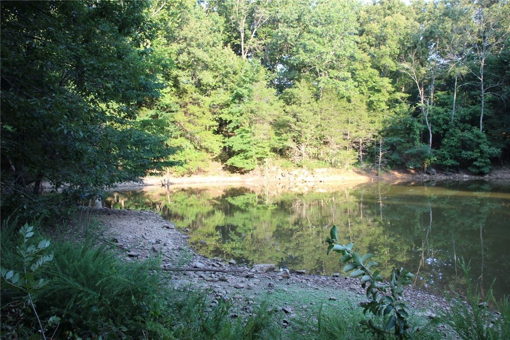 Picture 37