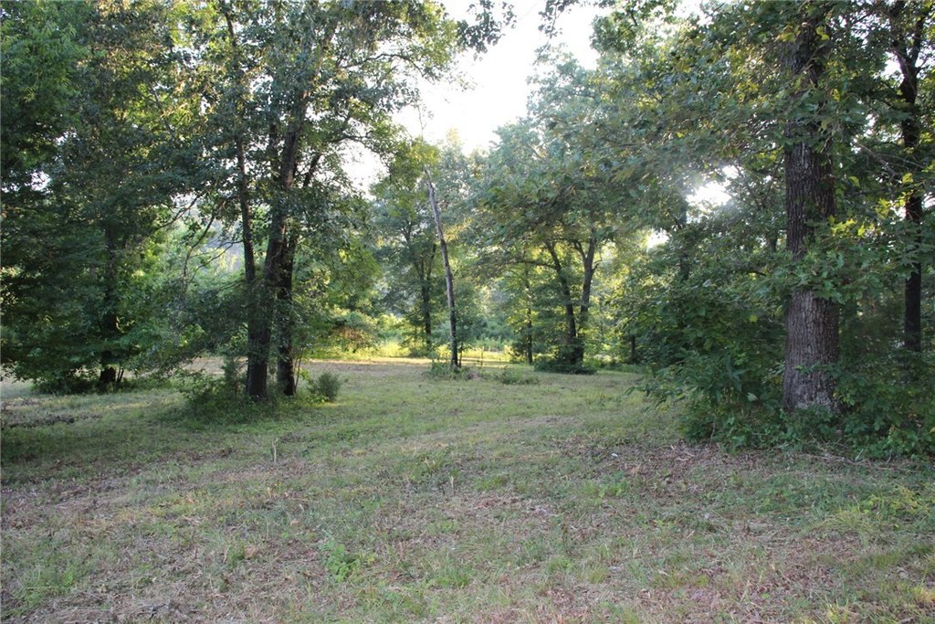 Picture 41