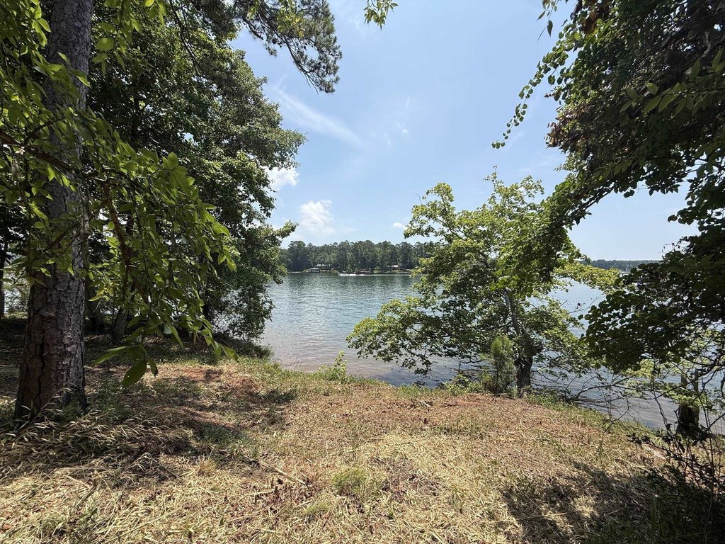 Picture 23