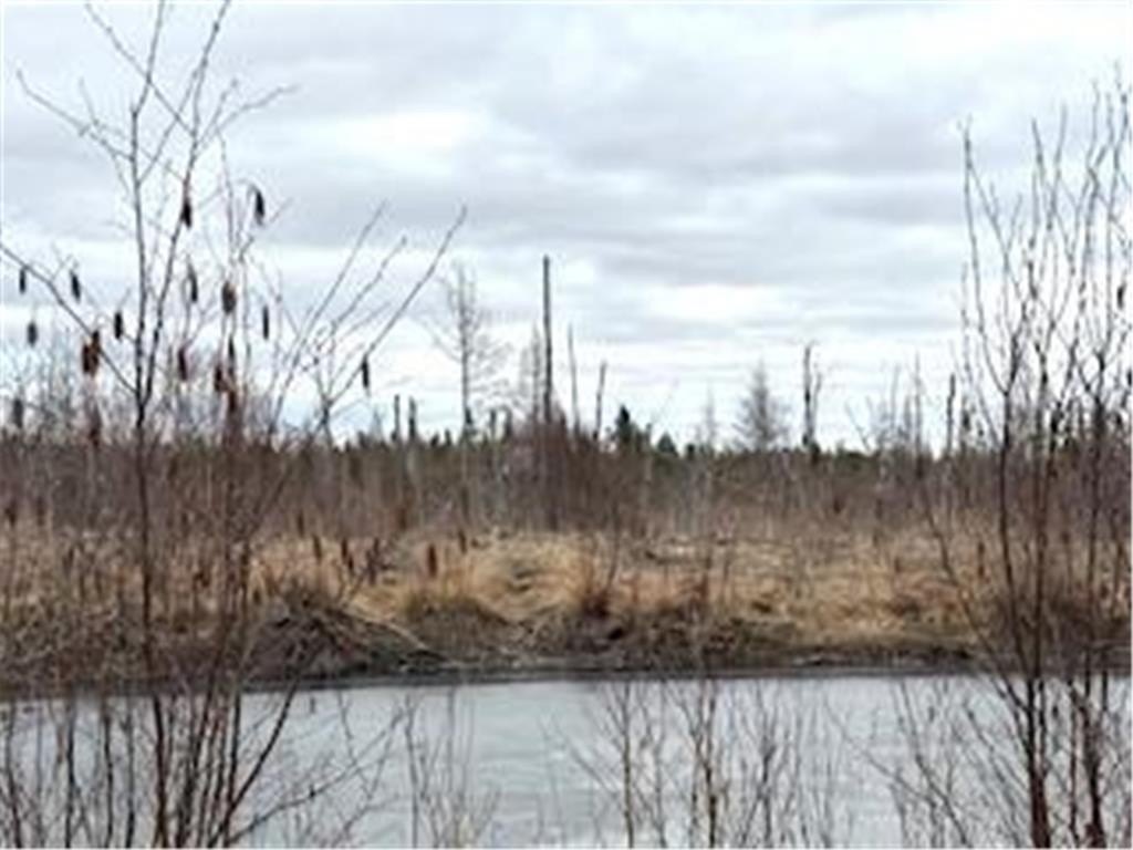 40 Acres Hunting Land in Fleming