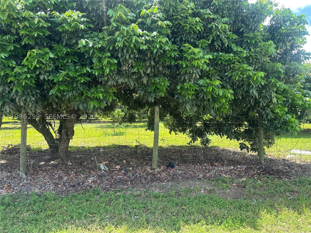 Picture 10
