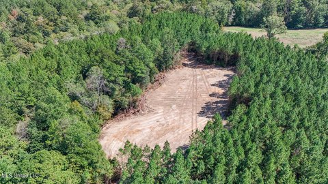 Amite County Land for Sale