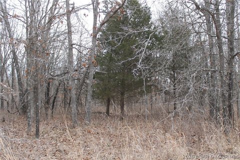 LAND - Edwards, MO