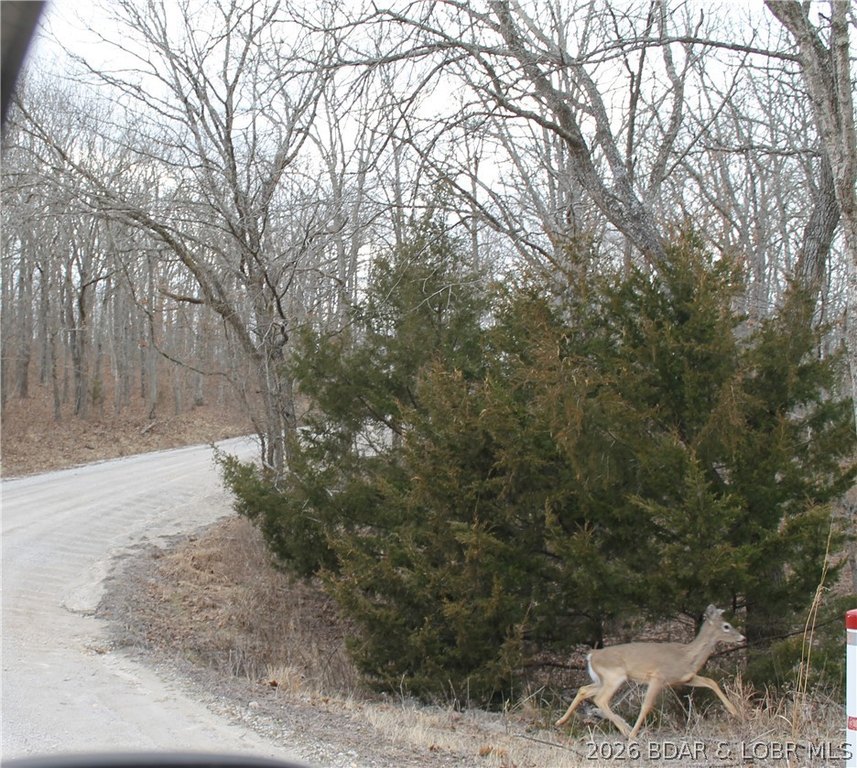 Picture 6