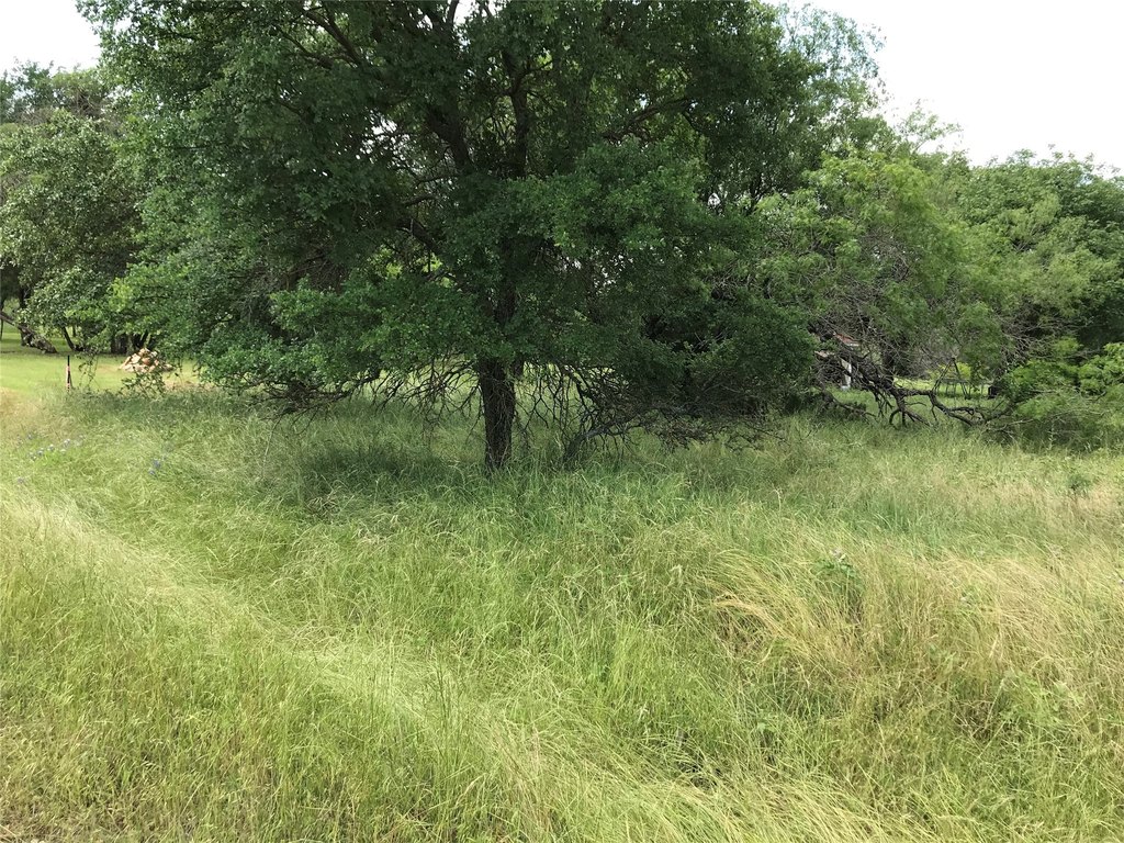 Picture 29