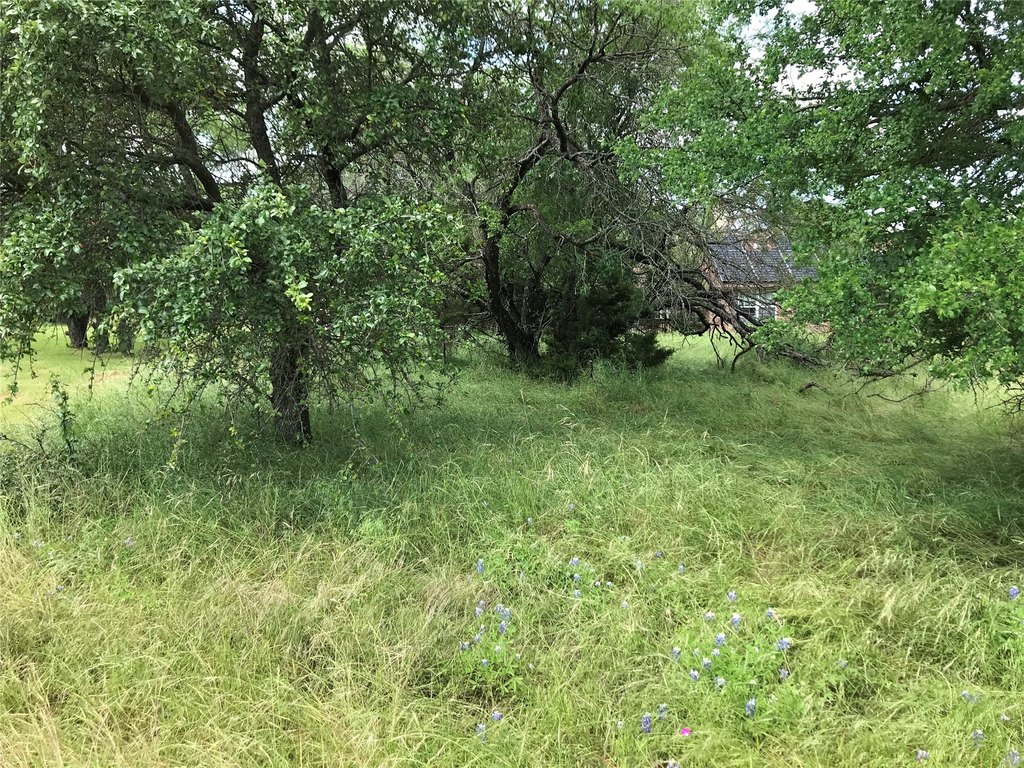 Picture 26