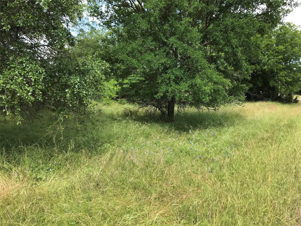 Picture 22