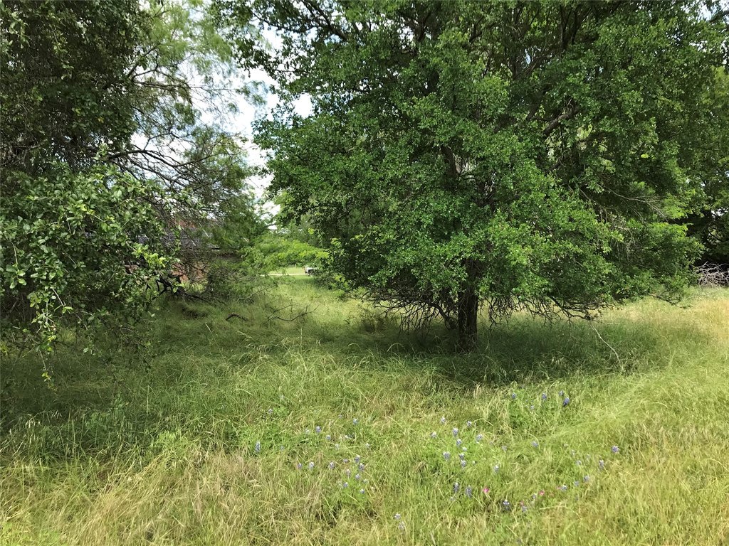 Picture 25
