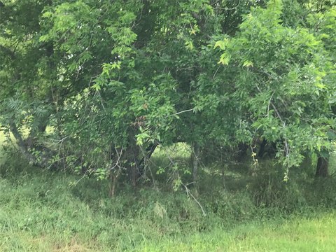 Waterfront Residential Build Lot