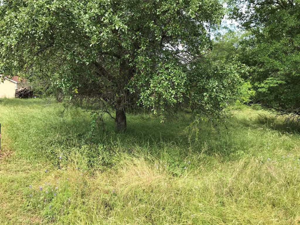Picture 24