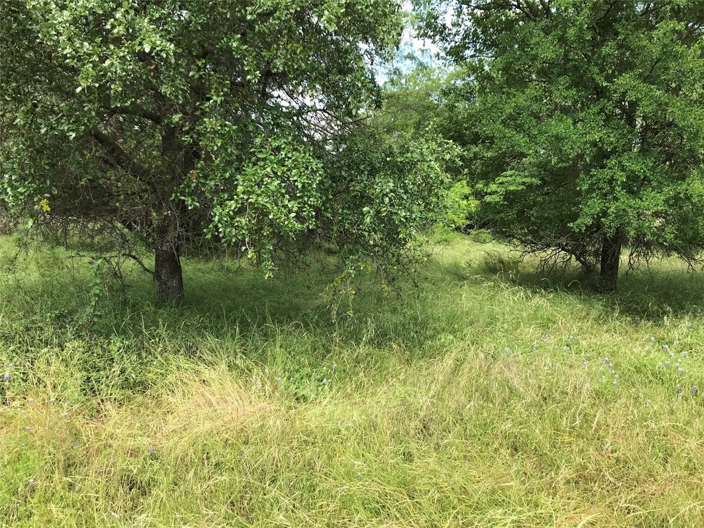 Picture 23