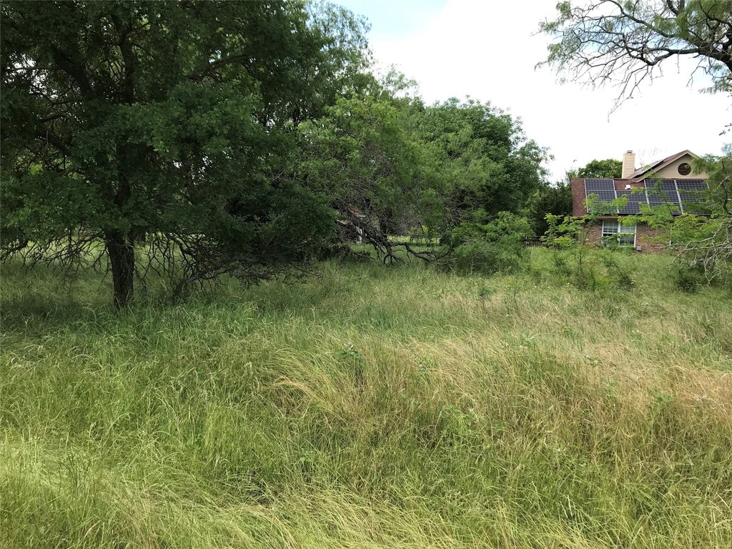 Picture 28