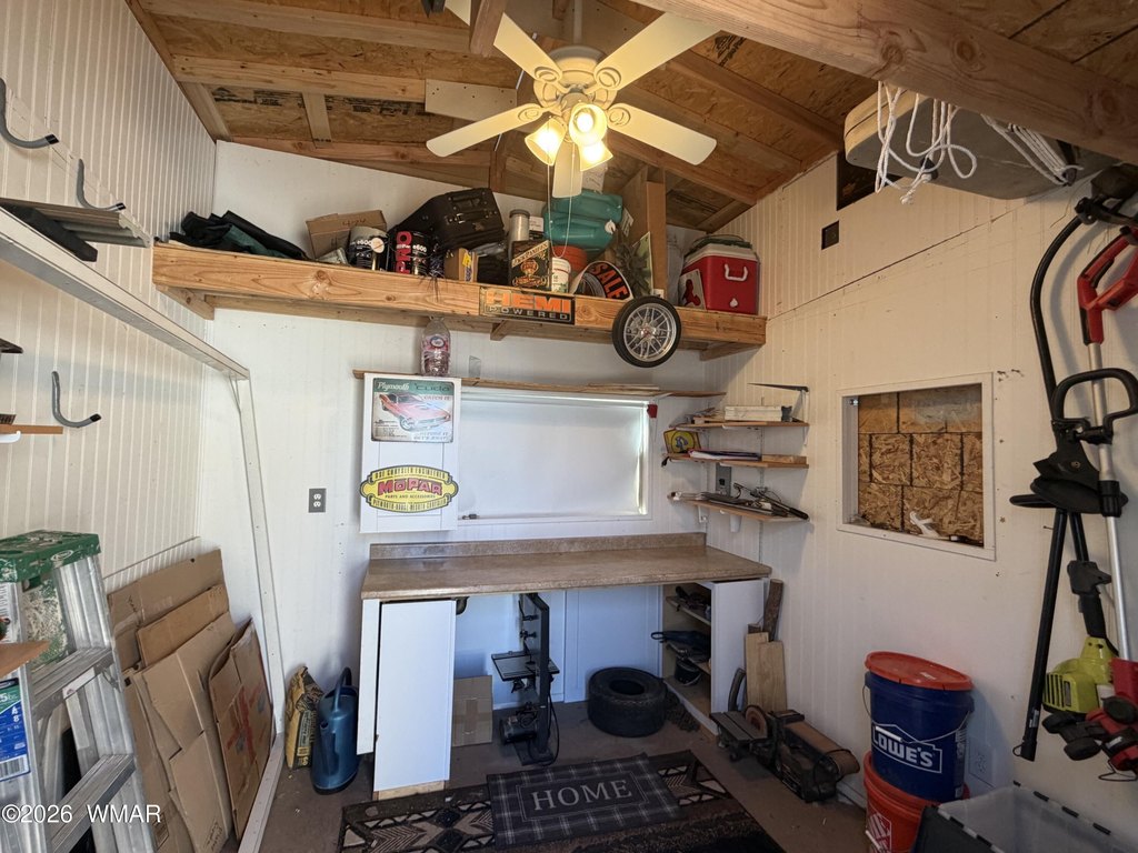 Picture 11