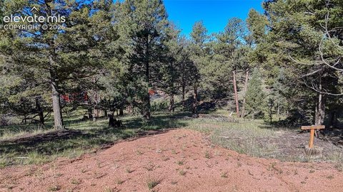 Land, Florissant, CO