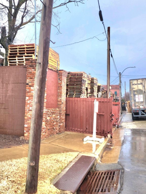 Picture 8