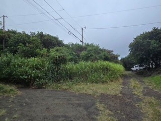 LAND - Naalehu, HI