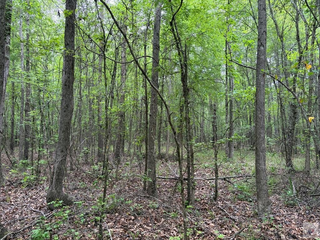 Picture 4