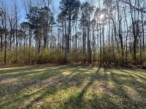 Sheridan Land with Income Potential