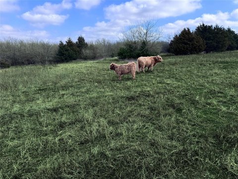 Unrestricted Land Near Greenville