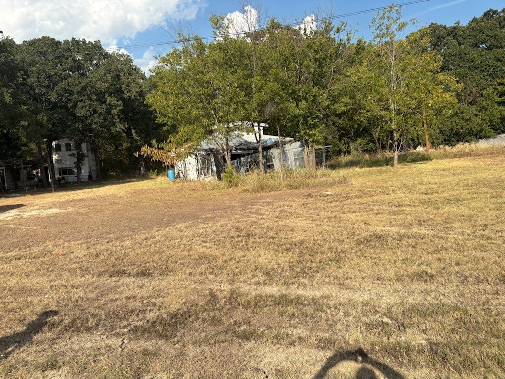 Picture 11
