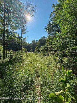 LAND - Forest City, PA