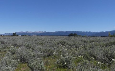 Agricultural Land with Solar Potential