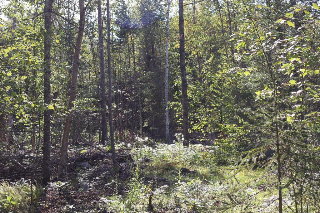 Picture 20