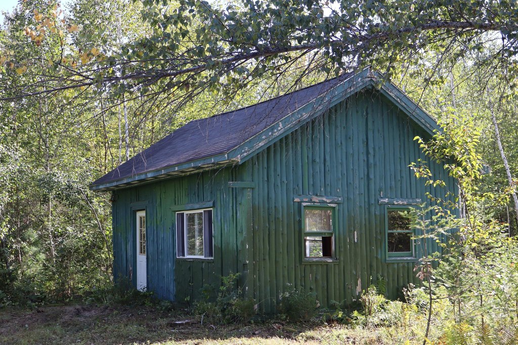 Picture 17