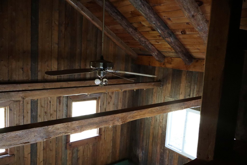 Picture 15