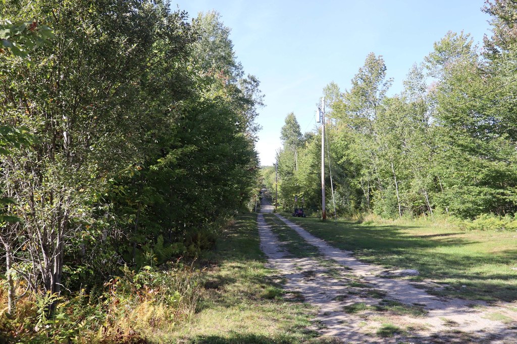 Picture 19