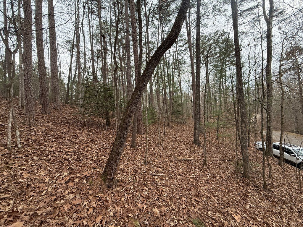 Picture 5
