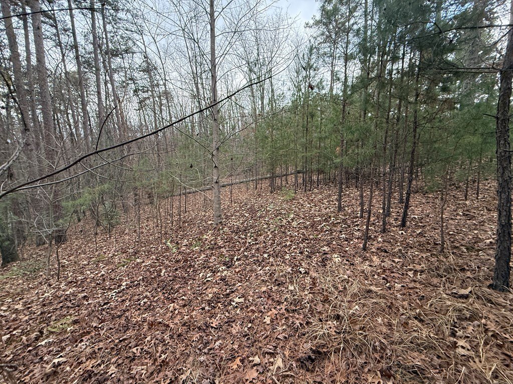 Picture 3