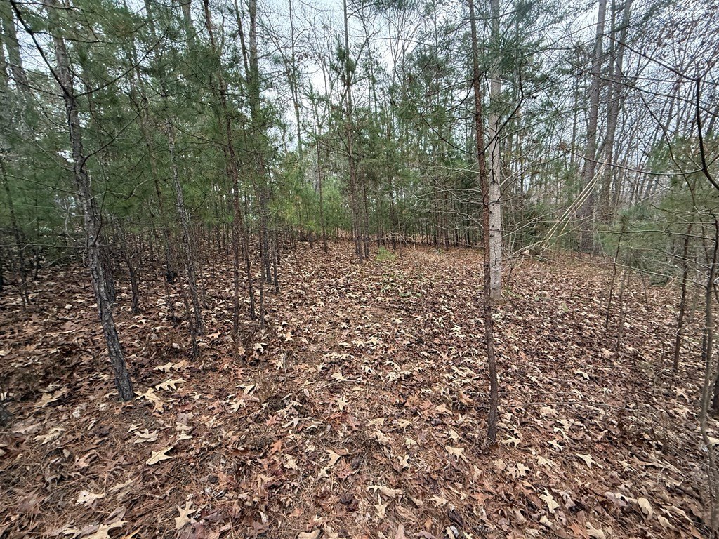 Picture 10